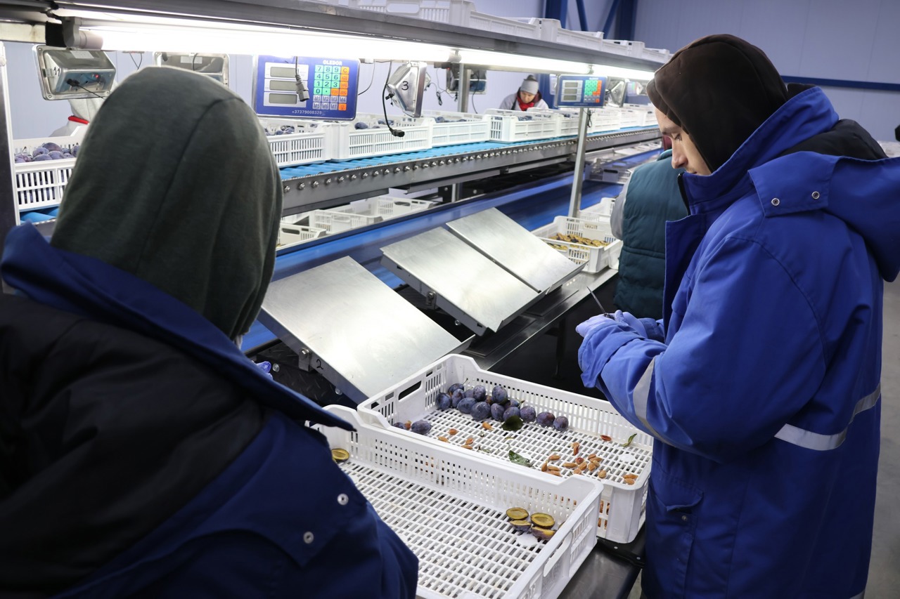 Deficitul balanței comerciale crește cu aproape 30%: peste 7 miliarde de dolari în 2025