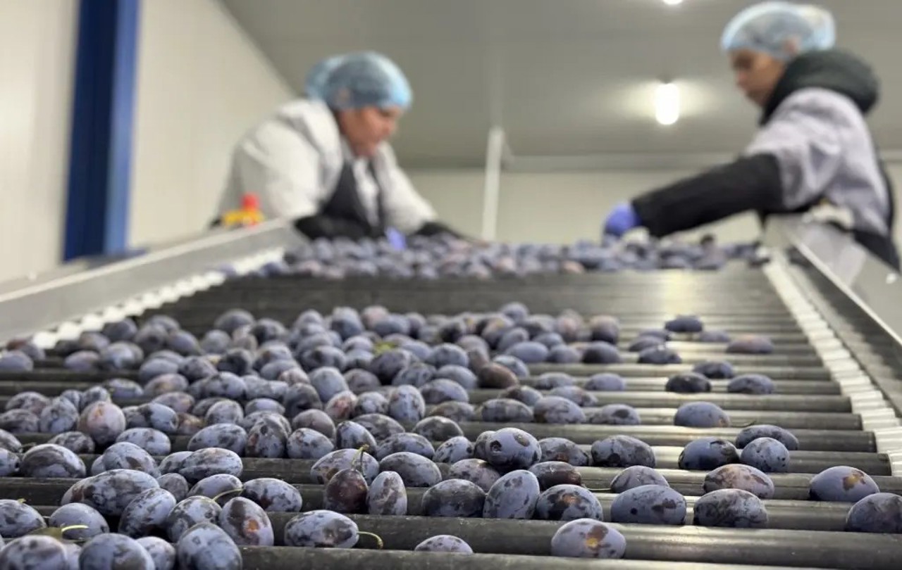 Republica Moldova investește în infrastructura postrecoltare pentru a-și alinia agricultura la standardele europene