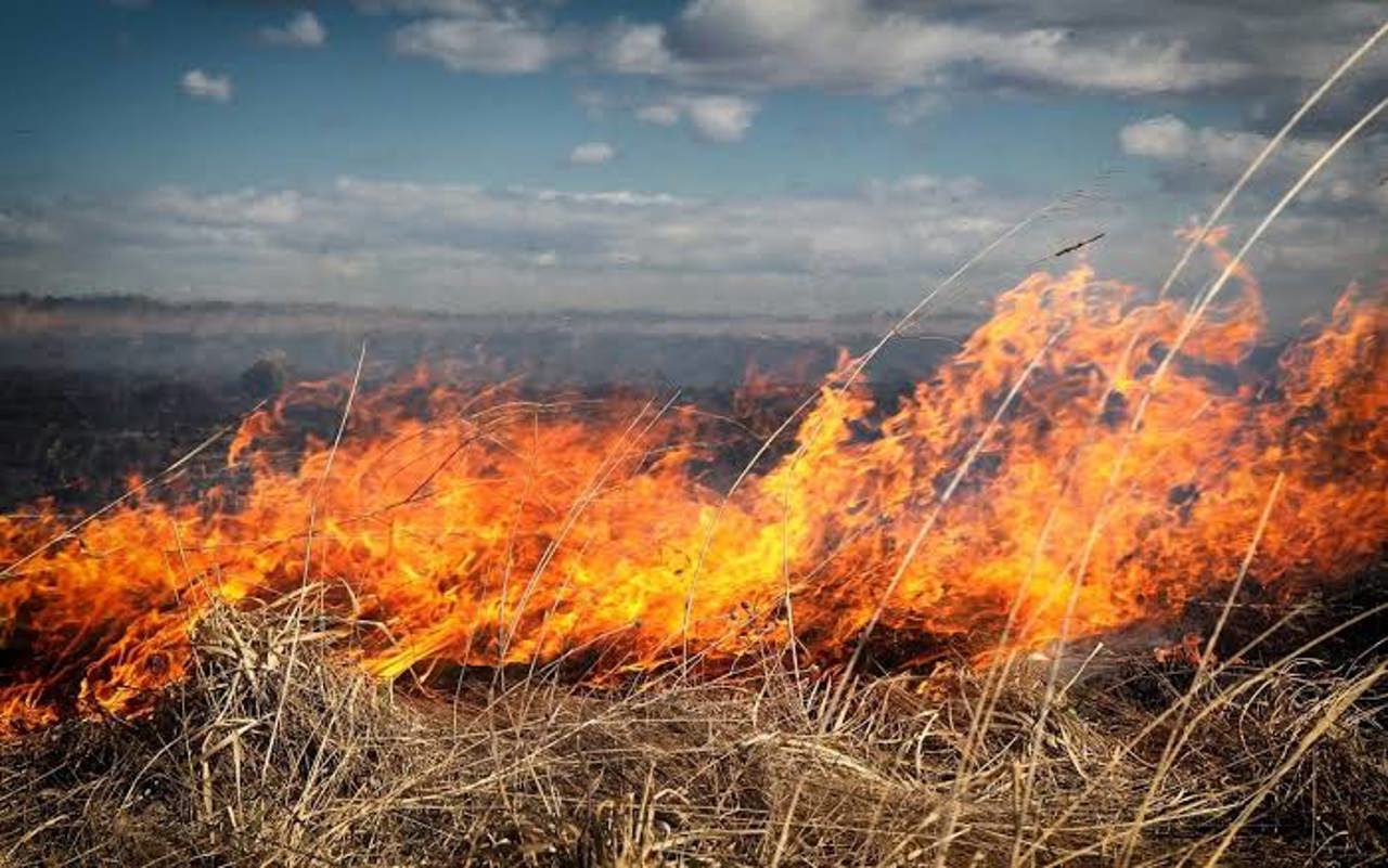 Alertă de incendii în R. Moldova: Cod galben, valabil până pe 21 august