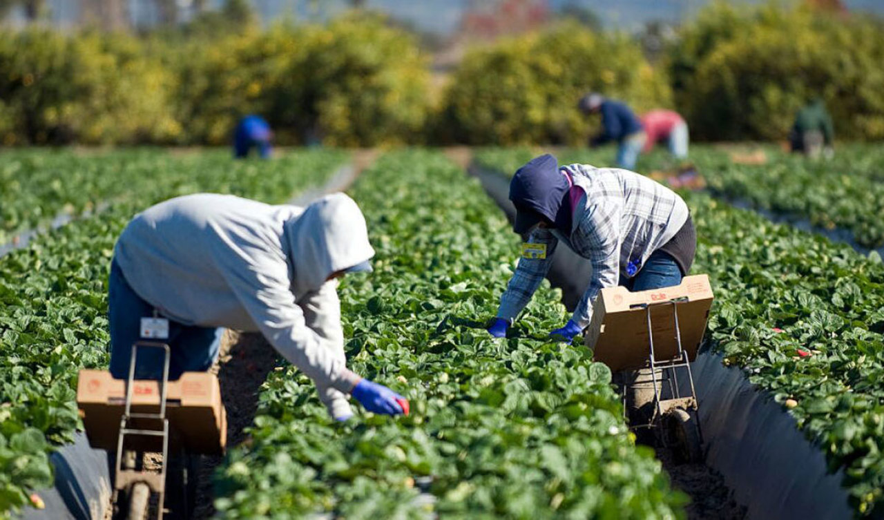 Evidența zilierilor trece în format electronic. Vor primi vouchere digitale pentru fiecare zi de muncă 