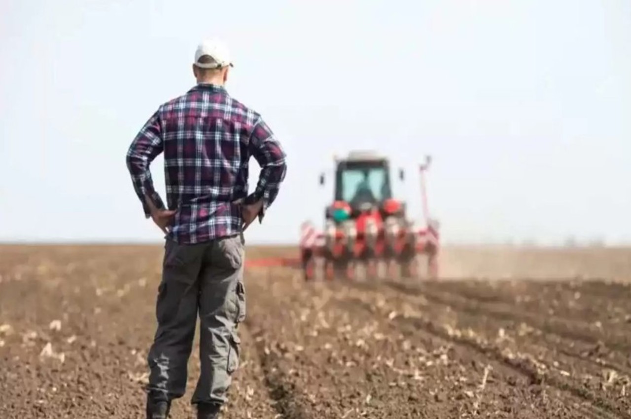 Fondul Național de Dezvoltare a Agriculturii riscă să se epuizeze înainte de finele anului, afirmă Diana Coșalîc