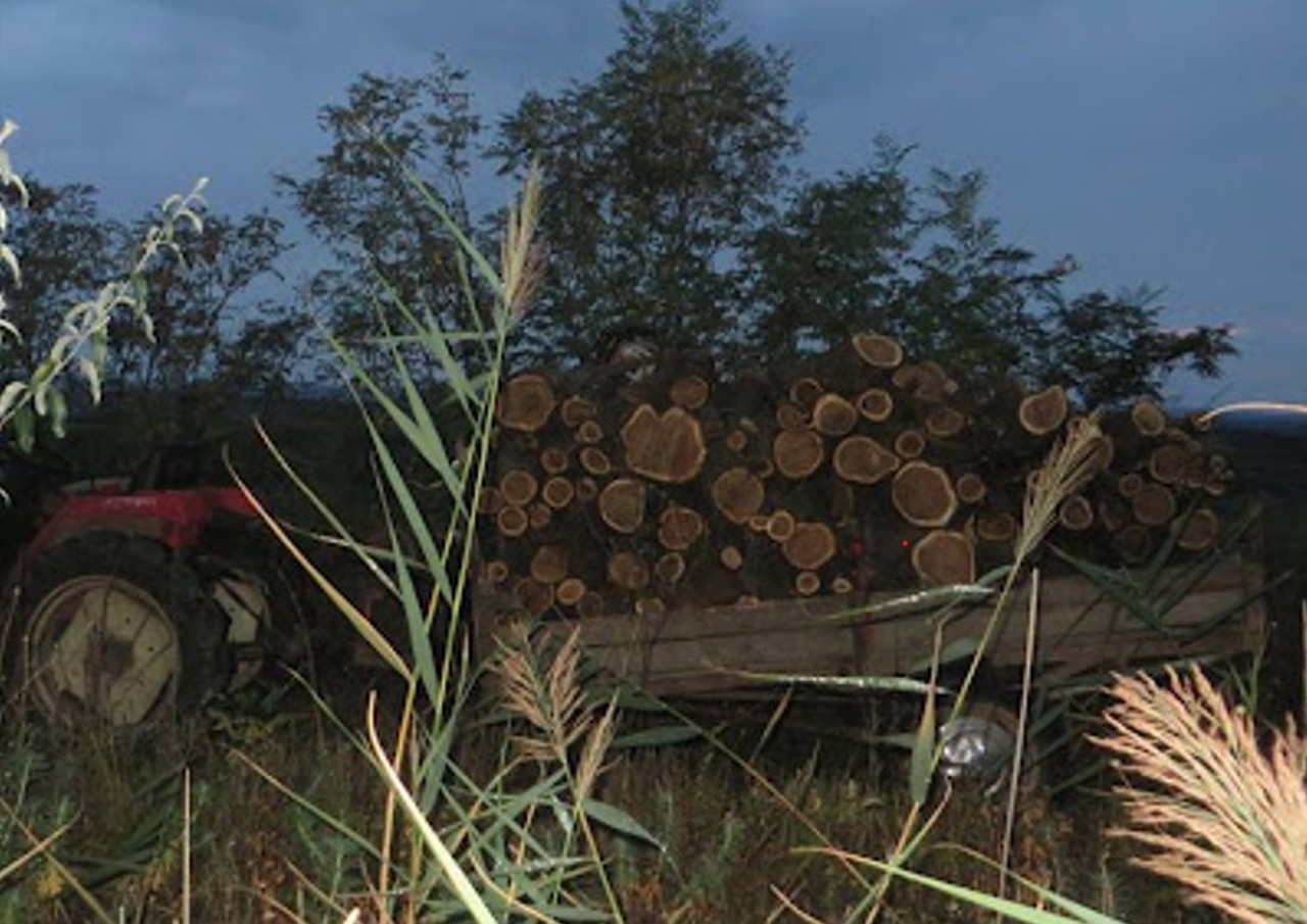 Protecția mediului, nonstop: autoritățile anunță un mecanism de reacție imediată pentru a preveni daunele provocate naturii