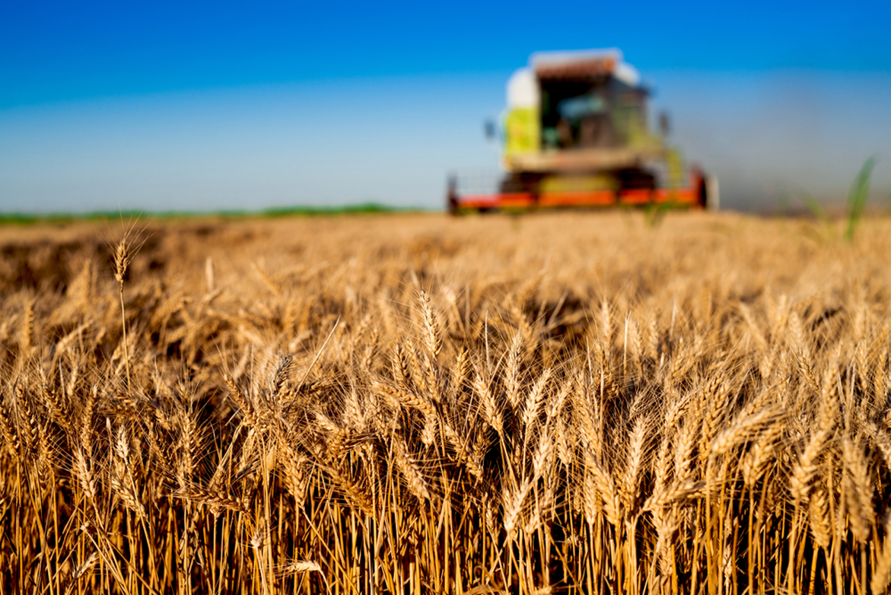 Moldova Invests in Farming Resilience