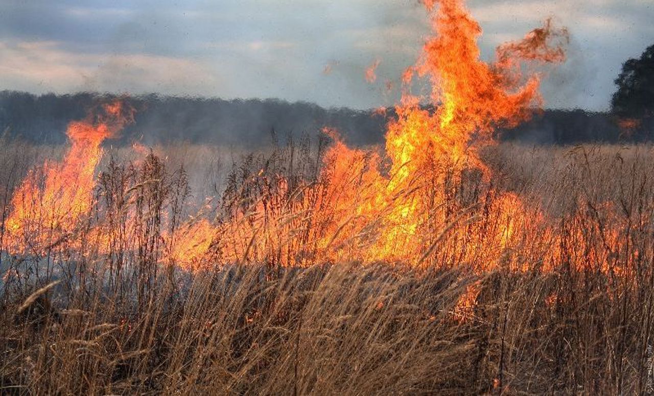 Weather alert: Extreme fire danger across Moldova