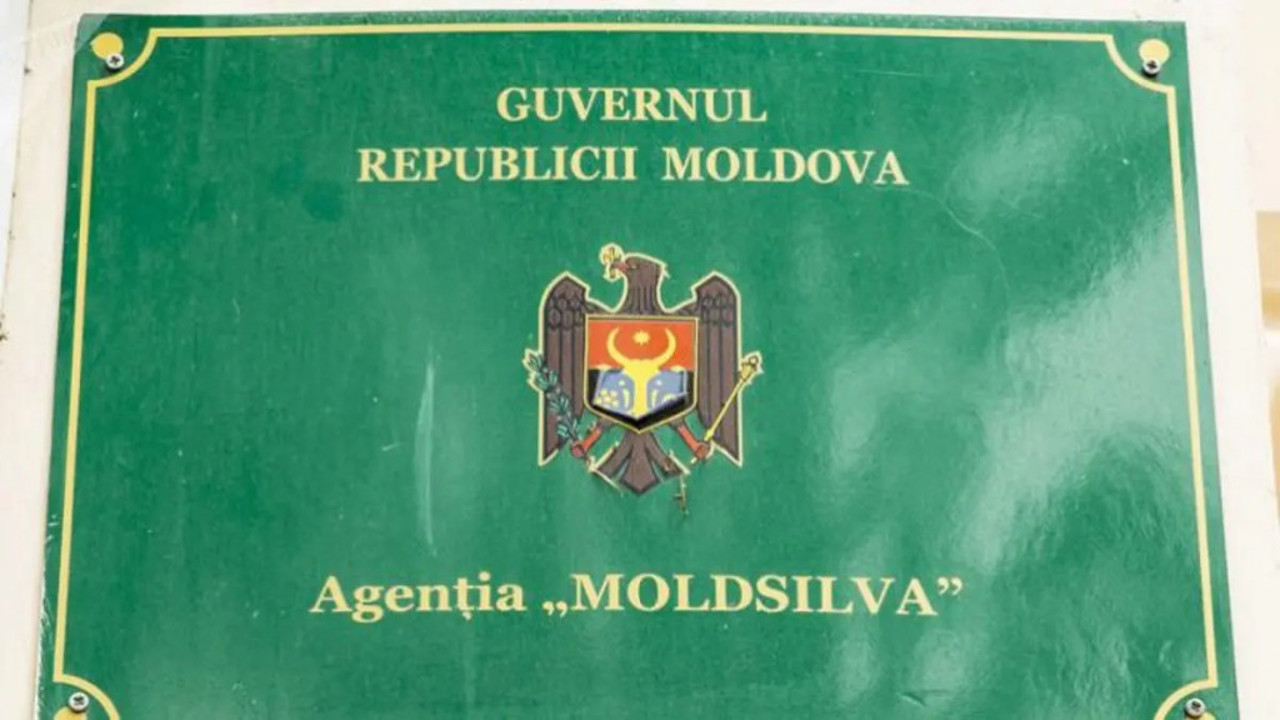 Expert: Reducerile de personal din agenții trebuie făcute atent pentru a nu accentua deficitul de specialiști în serviciul public