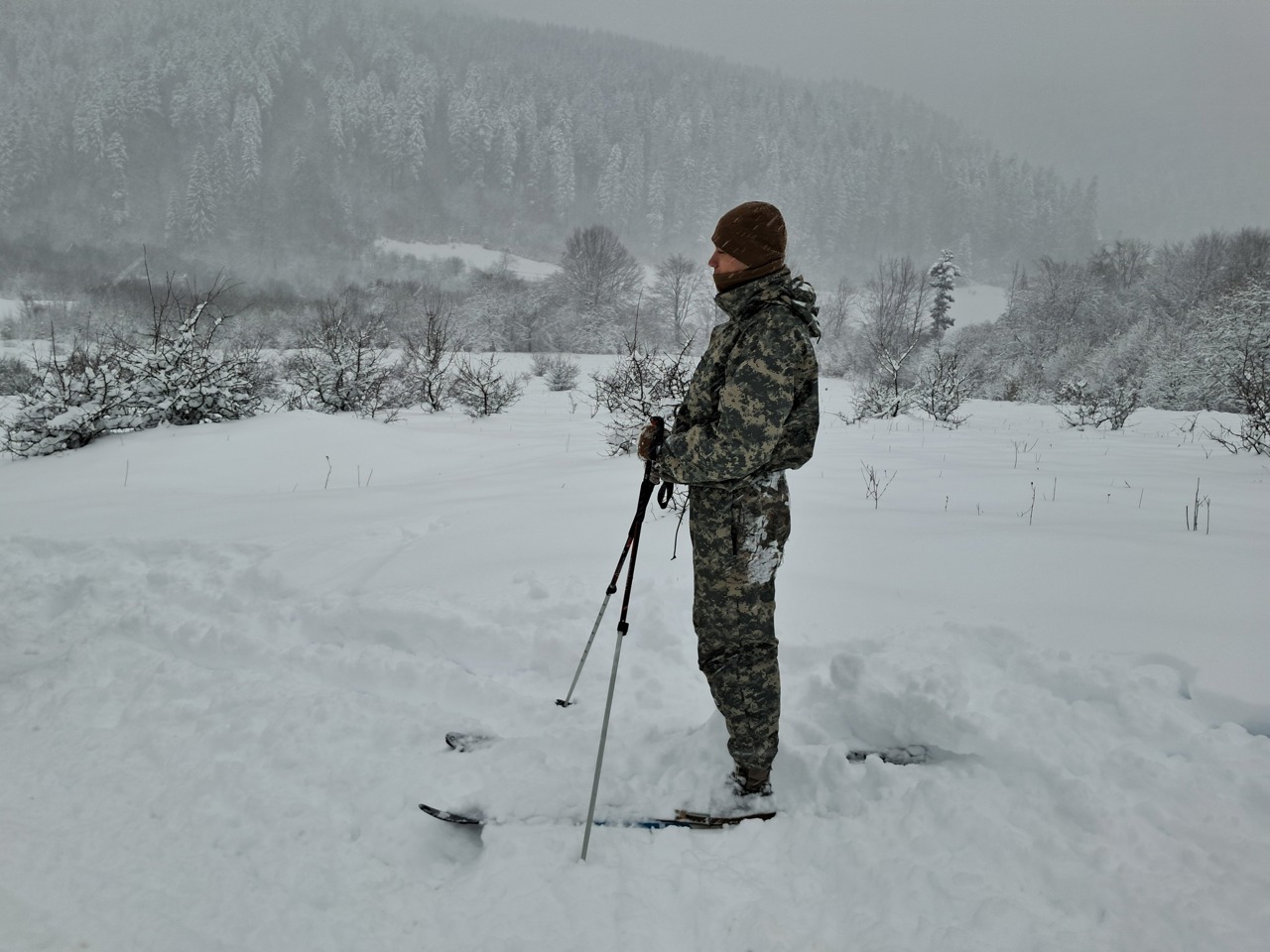 Brigada Infanterie Motorizată "Dacia"
