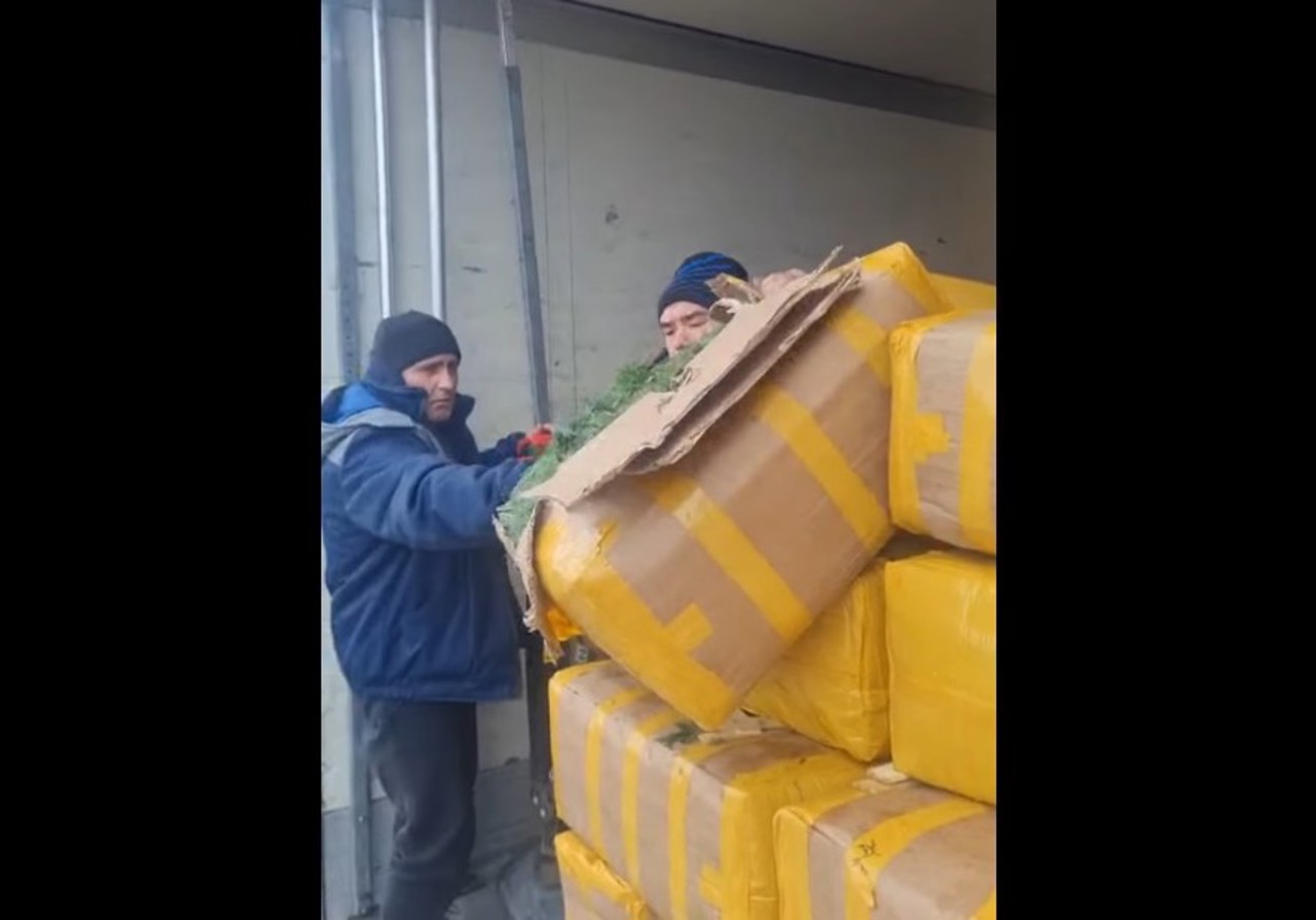 ANSA a nimicit 15 tone de verdețuri: lotul important prezenta pericol pentru consumatori