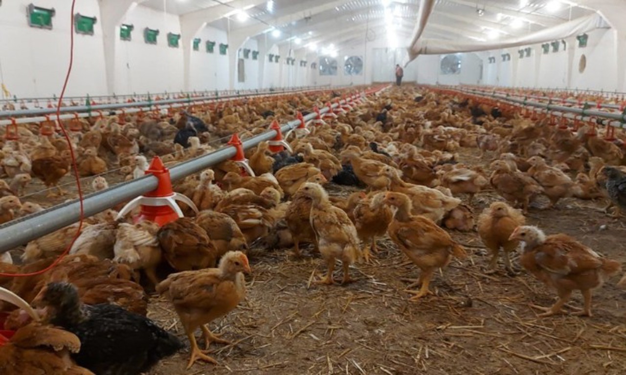 Moldova's EU export challenge: Few meet strict standards