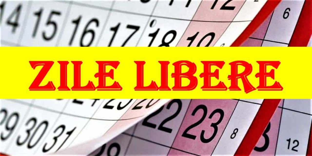 Ziua de 1 iunie ar putea fi inclusă în lista zilelor de sărbătoare nelucrătoare