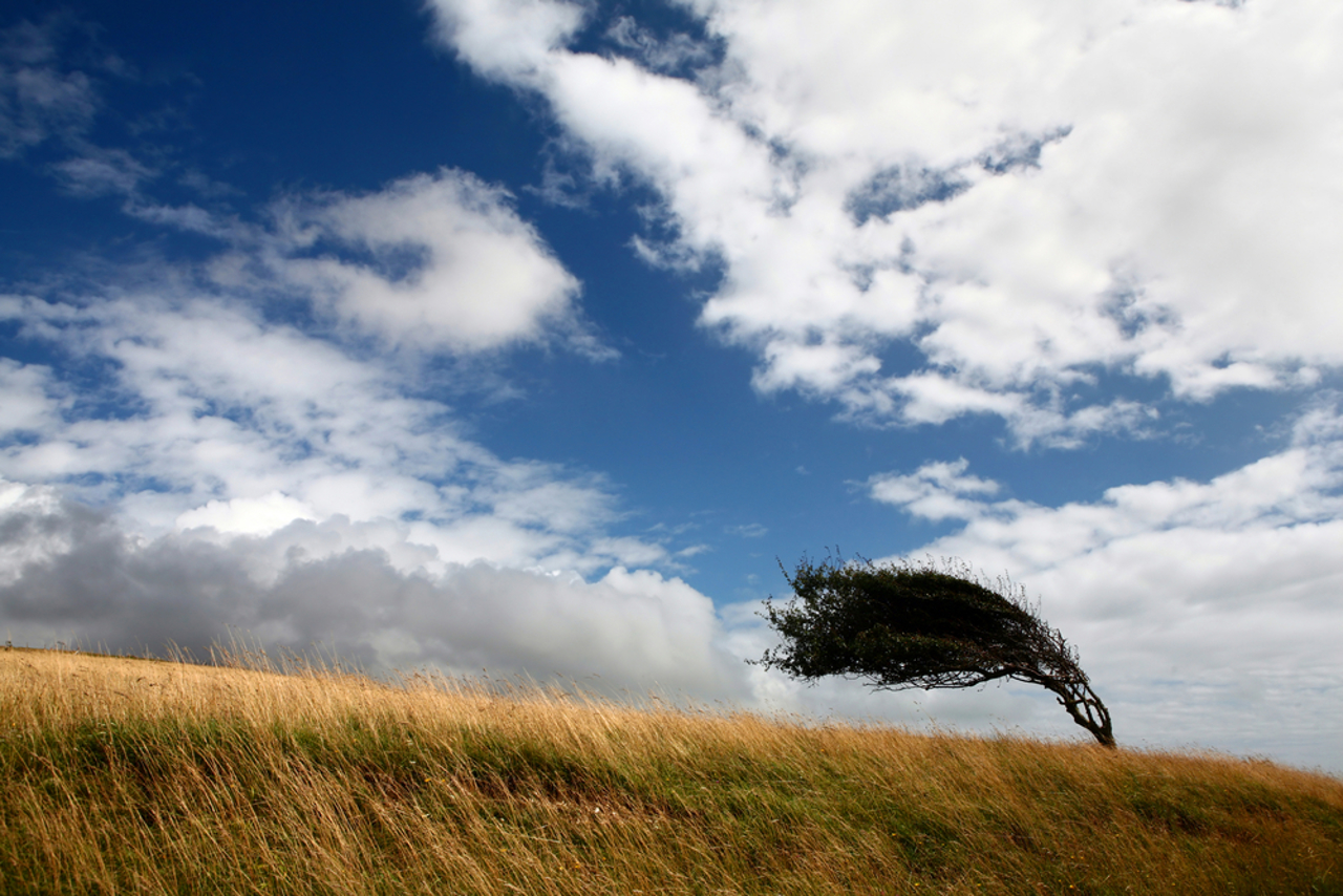 Moldova: Strong Wind Warning Issued Tonight