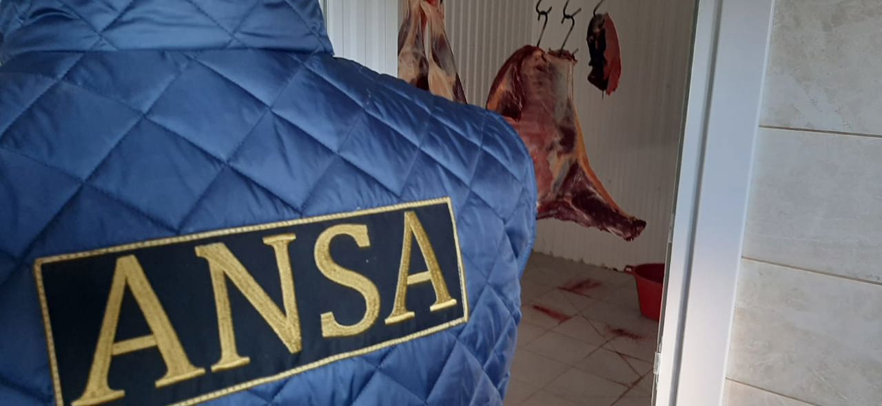 ANSA organises spot checks at farms, slaughterhouses and fairs