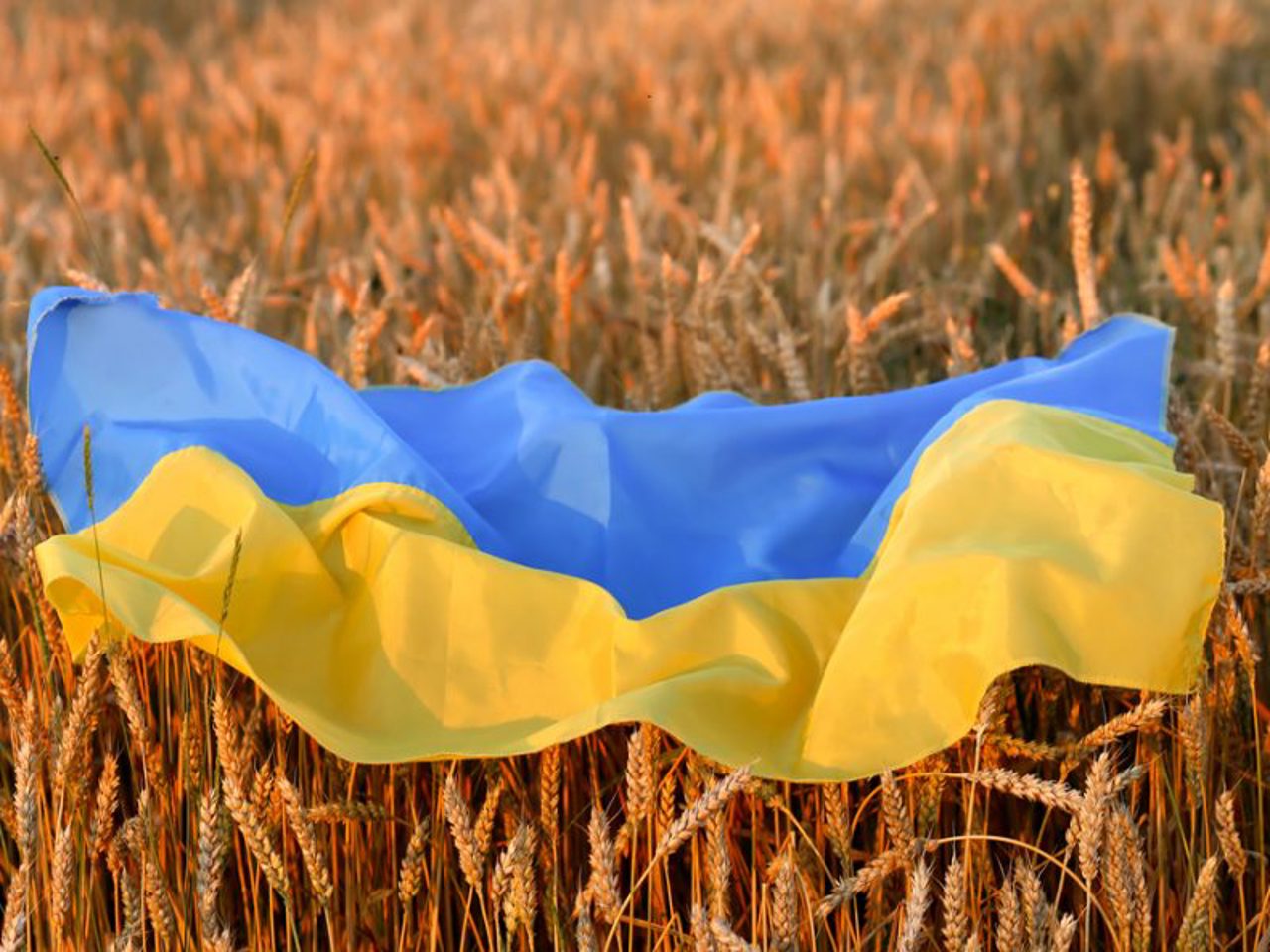 European Commission rejects bans on Ukrainian grain imports imposed by Poland and Hungary