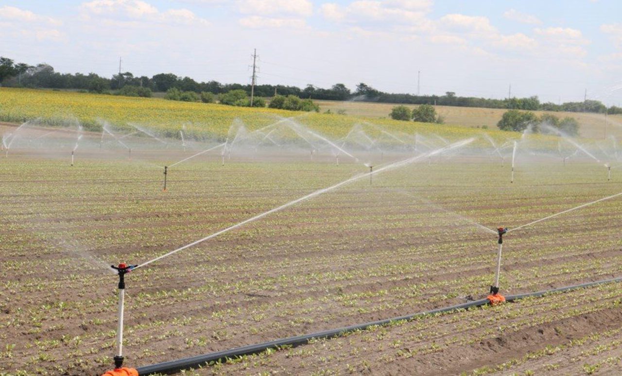 Dezvoltarea sectorului de irigare și de producere a semințelor, printre prioritățile Ministerului Agriculturii în 2023