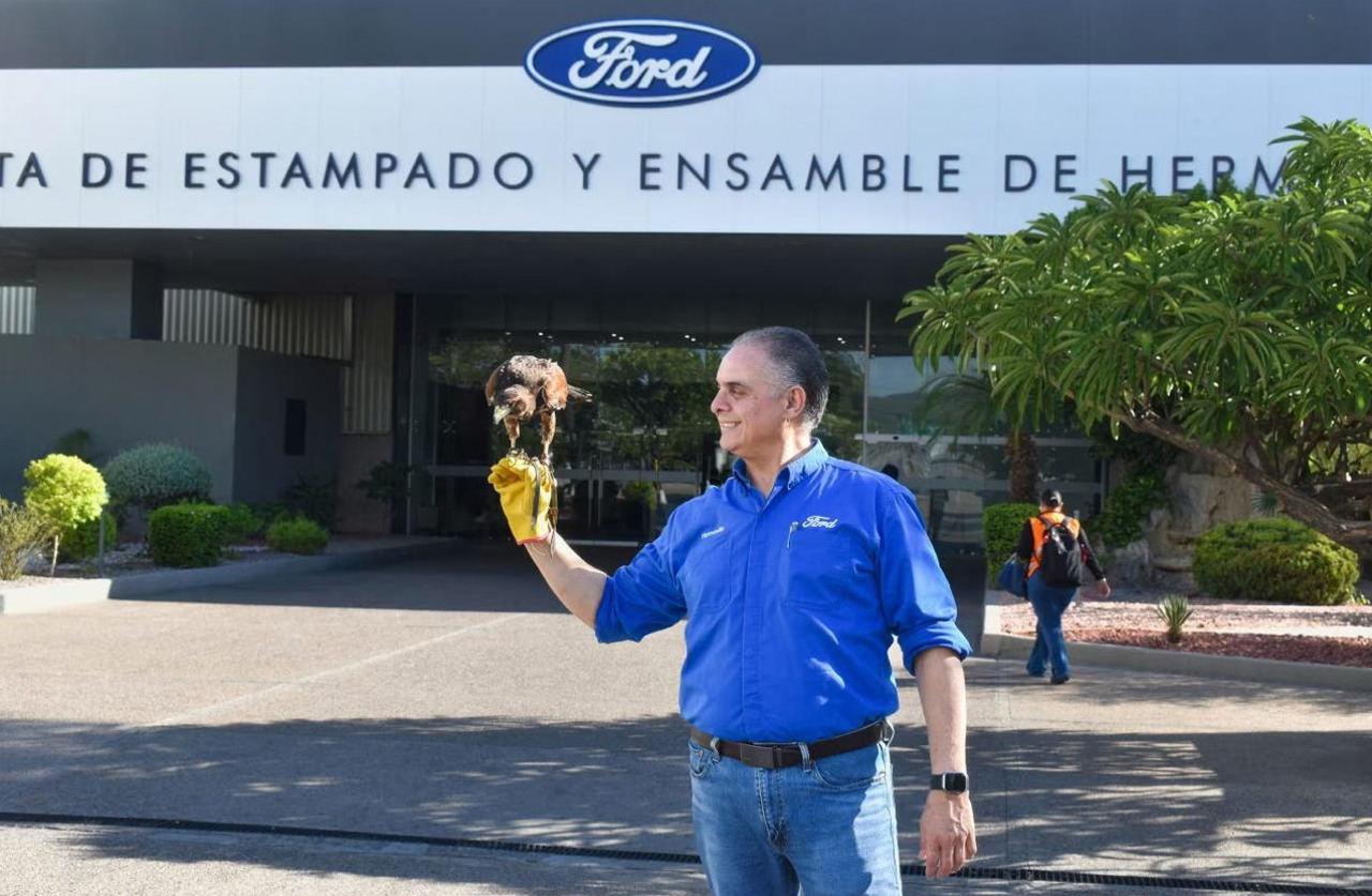 El Charro, șoimul care „lucrează” la Ford: A redus cu 80% numărul porumbeilor din jurul uzinei