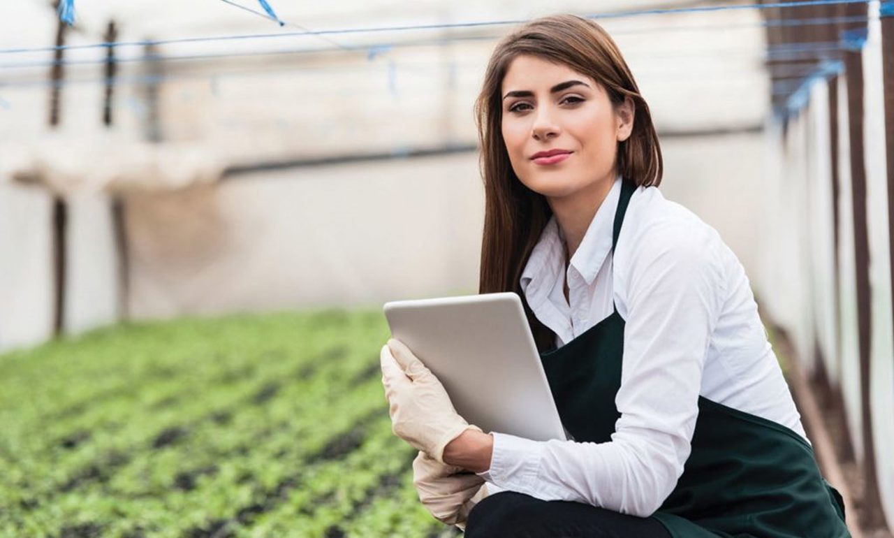 Green transition support: 33 Moldovan communities will receive technical and financial aid