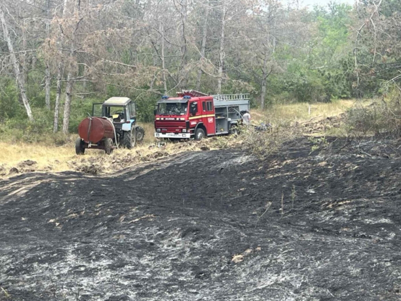 Incendiu în satul Copanca // Au ars în jur de zece hectare de vegetație uscată   