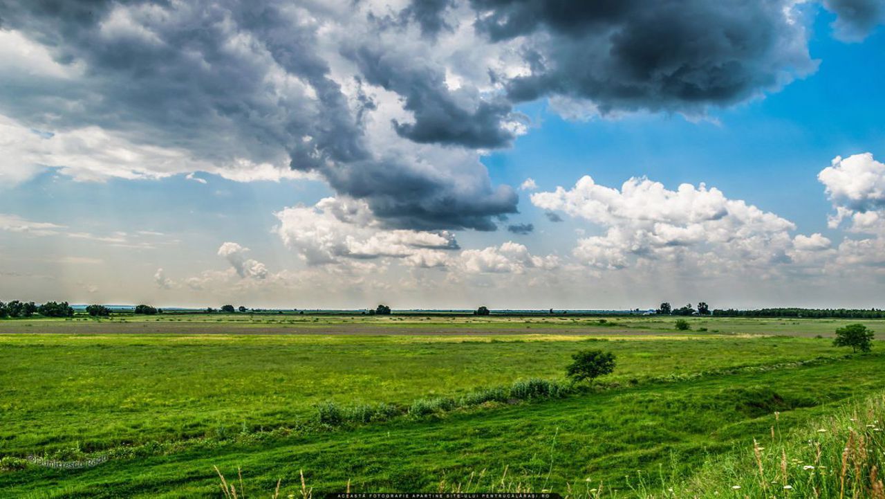 Moldova's Farmland Crisis: Unused Fields and a New Land Code