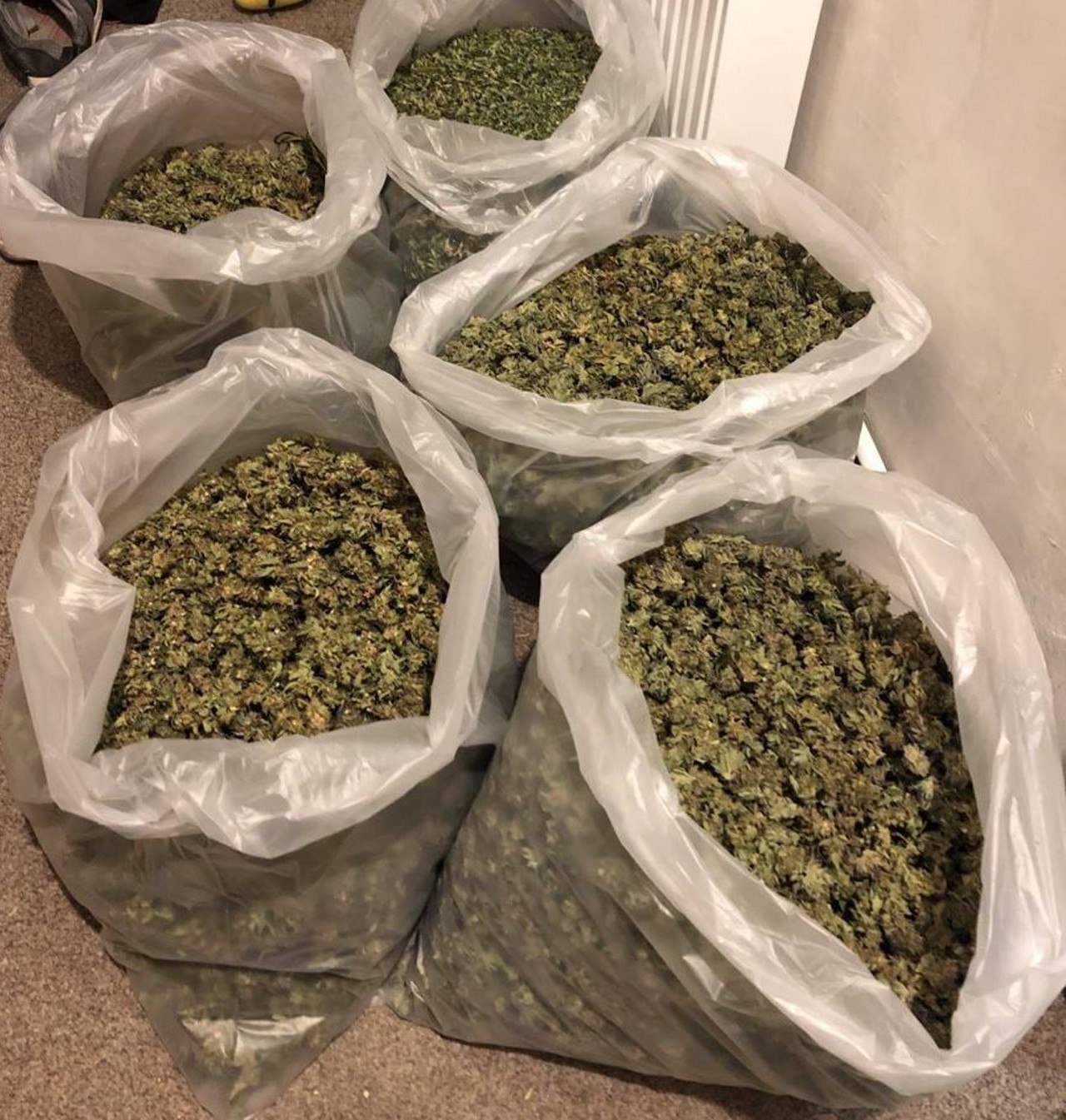 Марихуана на сумму три миллиона леев обнаружена в Кагуле. Два человека задержаны