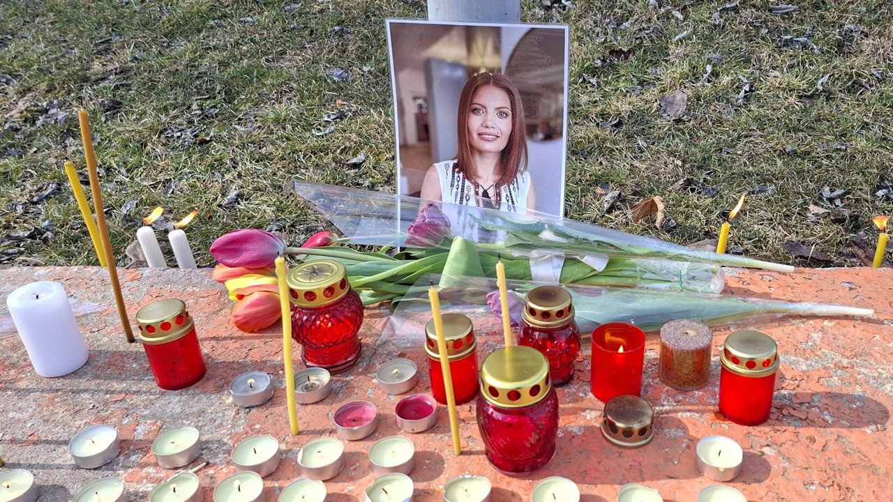 Cazul Ludmilei Vartic, examinat în Parlament: Audieri la Comisia pentru securitate națională