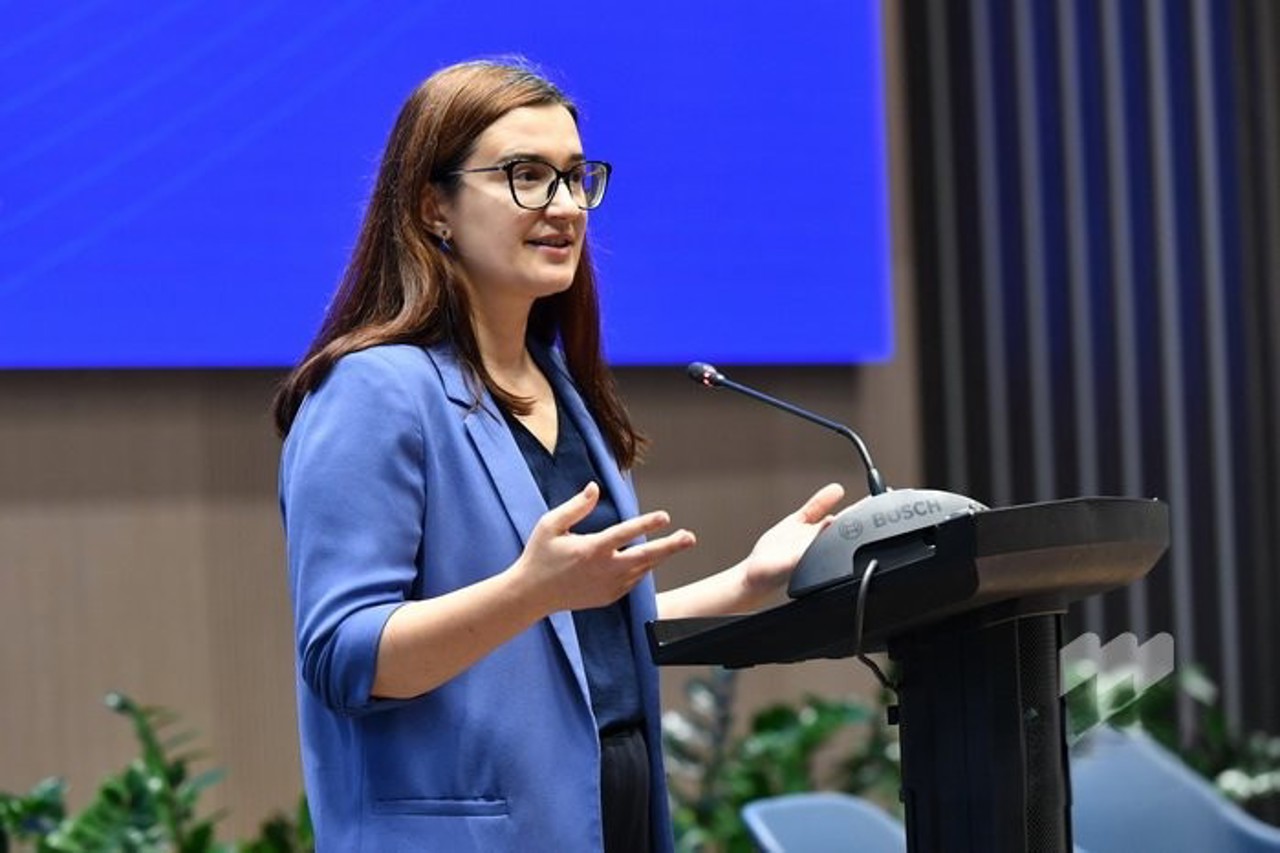 Perioade tranzitorii după aderare: Ce spune Gherasimov despre domeniile în care Moldova ar putea cere termene suplimentare