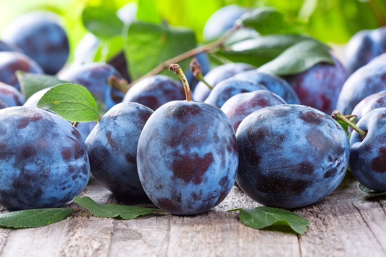Antreprenoarea care exportă prune în UE: „Mă mândresc cu produsele moldovenești în magazinele mari din lume”  