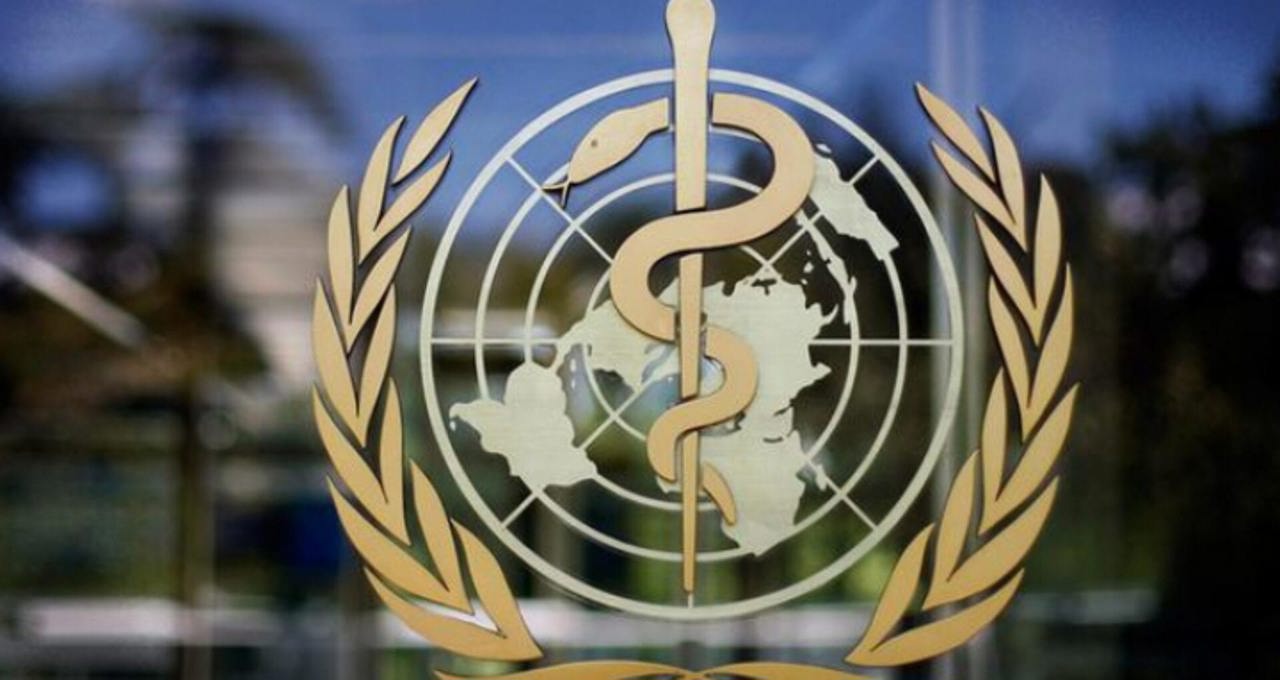 Minister of Health will participate in the WHO Executive Board session