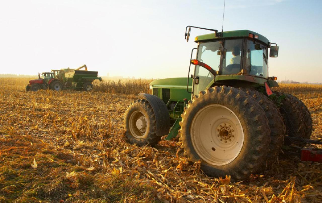 Moldova plans emergency law to address 2024 drought crisis