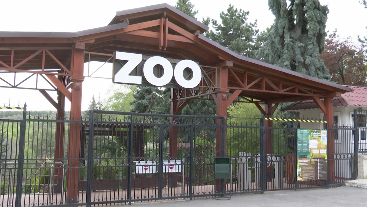 Anchetă la Grădina Zoologică, după ce un copac s-a prăbușit peste un copil. Micuțul continuă să fie în stare gravă