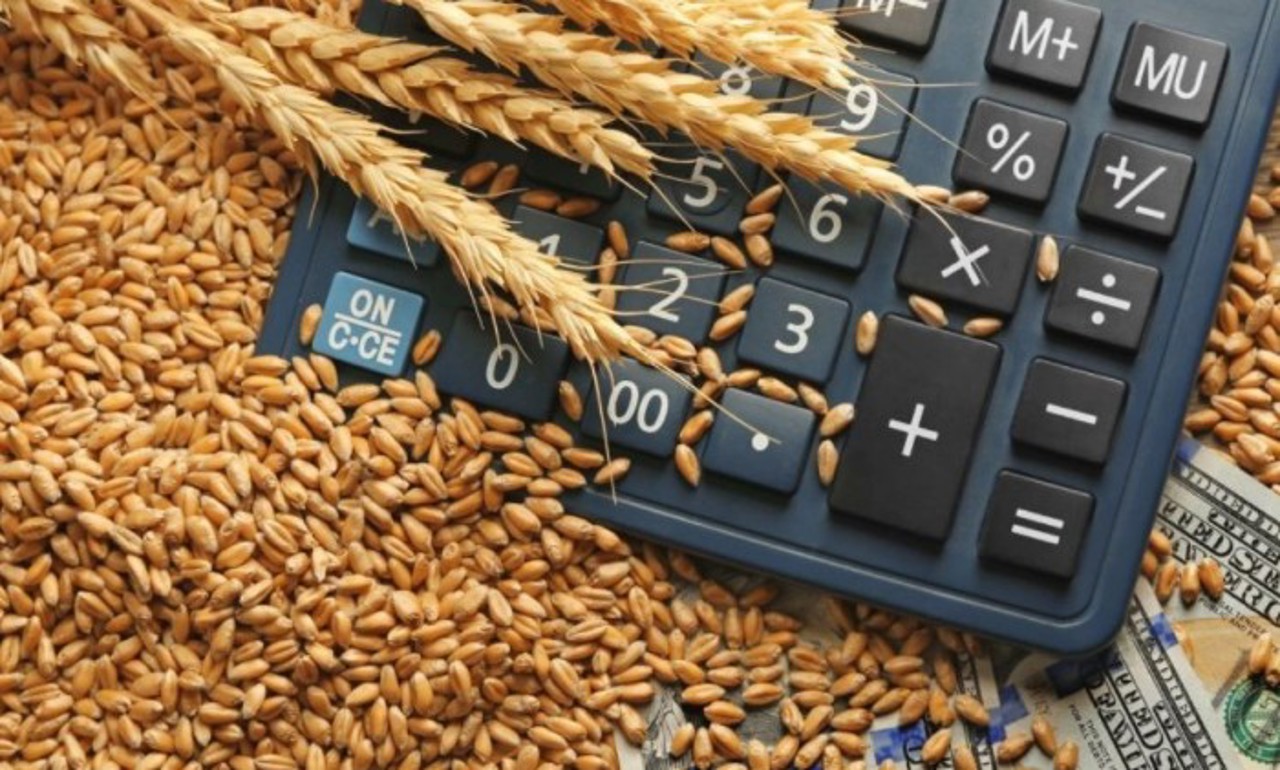 Farmers challenge Moldova’s strategic agricultural plan over 'insufficient' €3.16 million budget