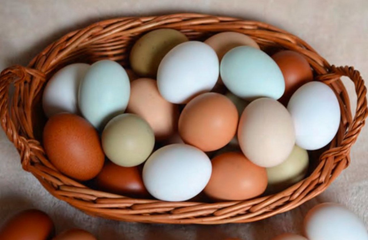 Ouă cu nuanțe de verde sau albastru, produse într-o gospodărie din Hâncești: „Este o pasiune, nu afacere”