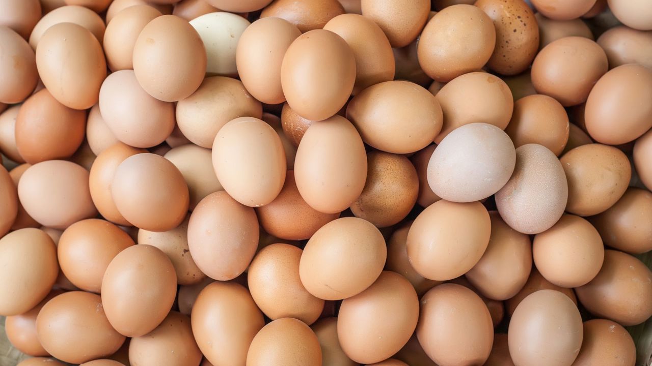 Ouă contaminate cu Salmonella, retrase de ANSA de pe piață