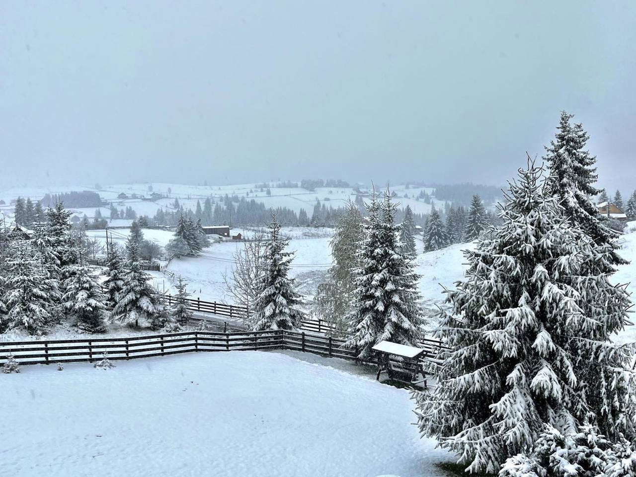 Iarnă în aprilie: În munții Apuseni din România a nins