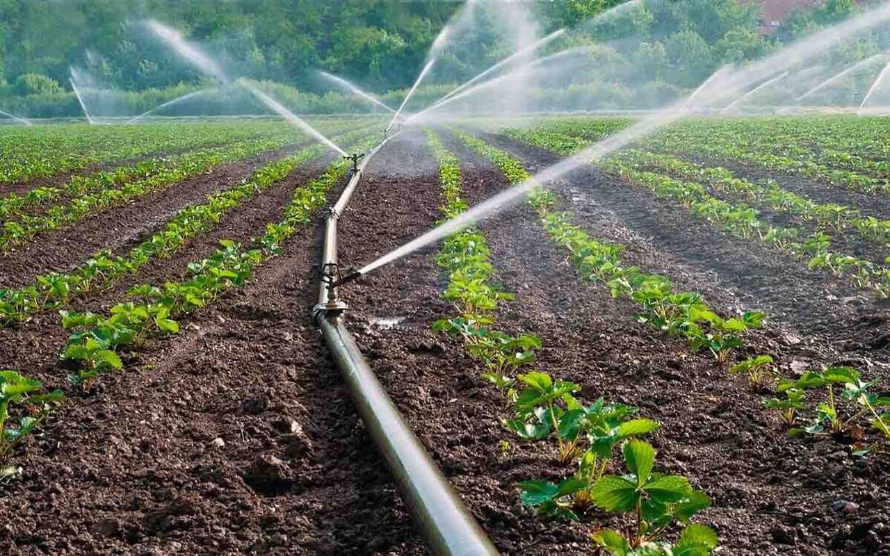 R. Moldova investește în agricultură: Cinci sisteme de irigare vor fi funcționale din 2025