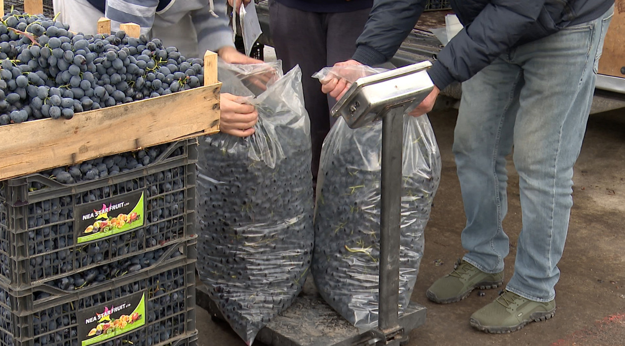 Struguri copți și produse de sezon, la târgul „Butoiaș” din capitală