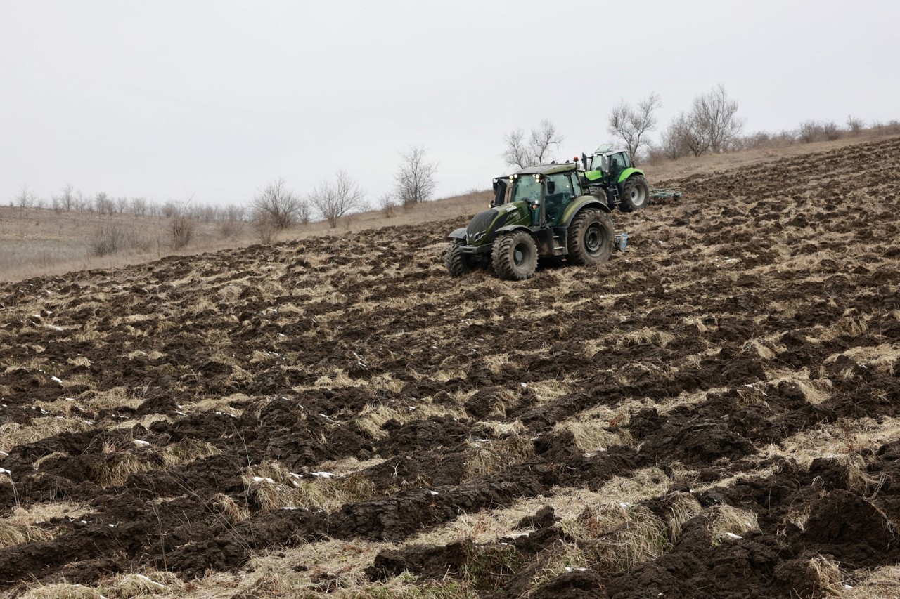 Ziua Națională de Înverzire a Plaiului: recomandările experților privind plantarea corectă a pădurilor 