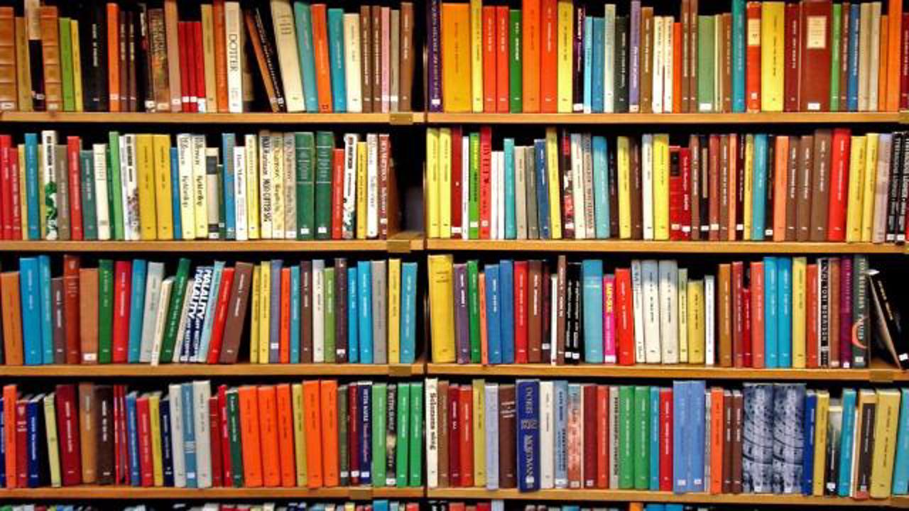 Provocările bibliotecilor comunitare și soluțiile autorităților