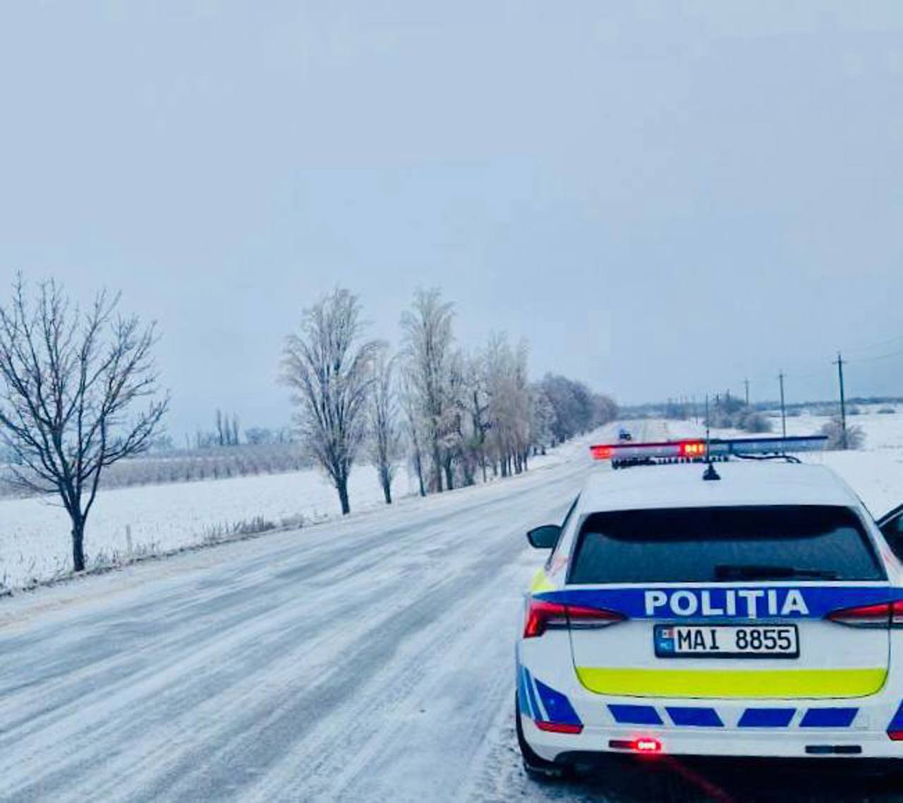 Снегопад парализовал юг Молдовы: движение фур приостановлено, тысячи хозяйств без света