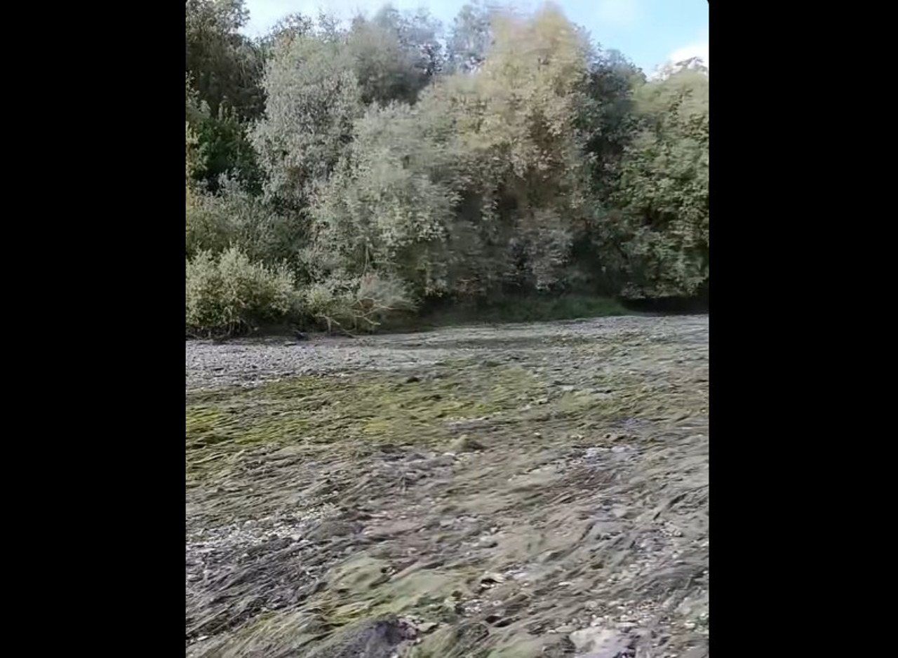 Nistrul, tot mai scăzut la Naslavcea: Localnicii arată cum peștii au rămas captivi în gropile cu apă