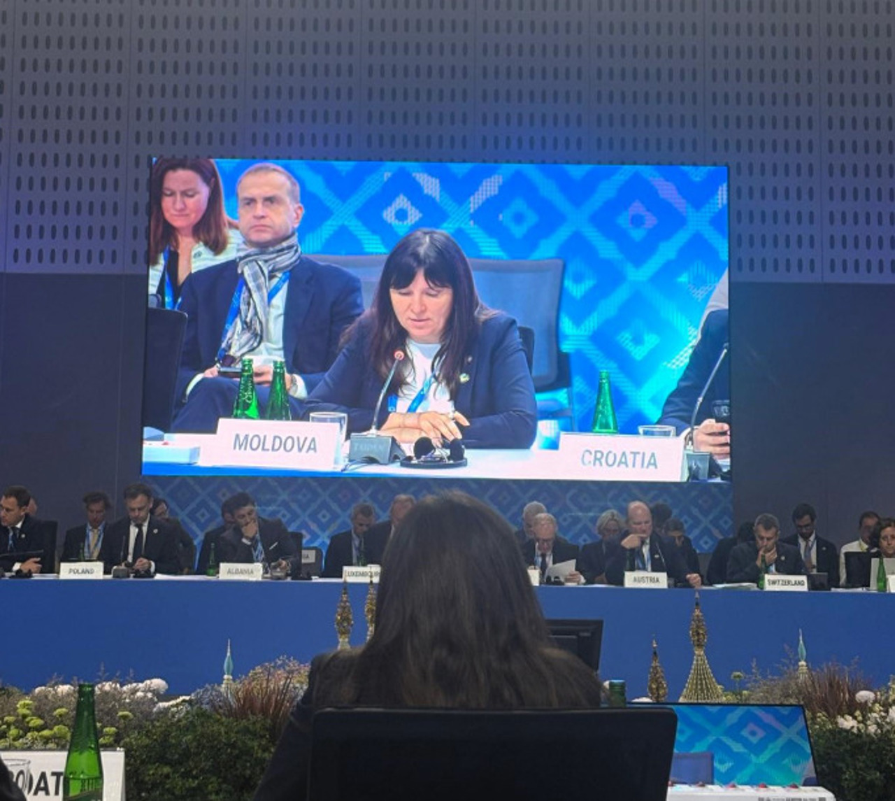 Victoria Belous, discurs la reuniunea privind sprijinul pentru Ucraina: R. Moldova susține un ajutor financiar internațional predictibil