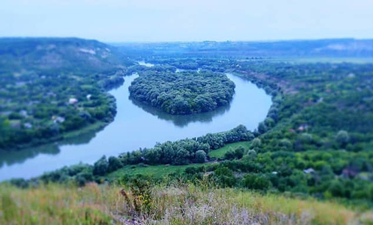 Don't Swim! Nistru River Pollution Warning Issued