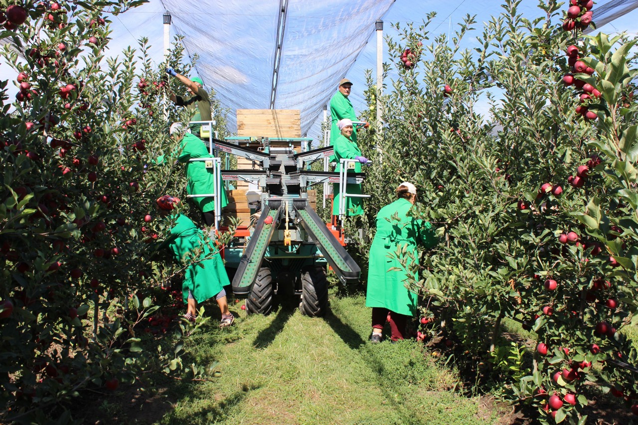 EU moves to remove customs duties on seven Moldovan crops