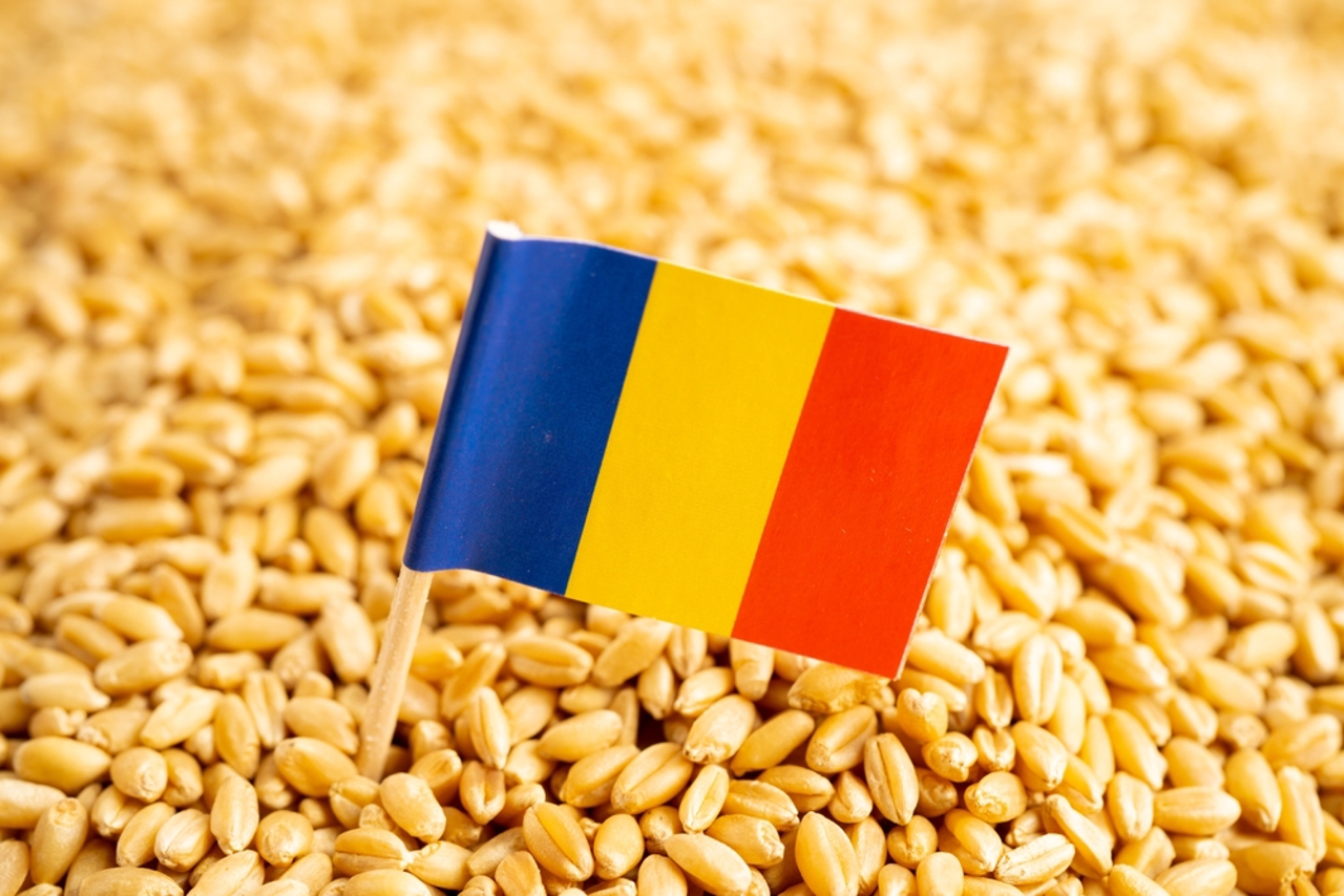 România urcă pe primul loc în UE la exporturile de cereale, depășind Franța