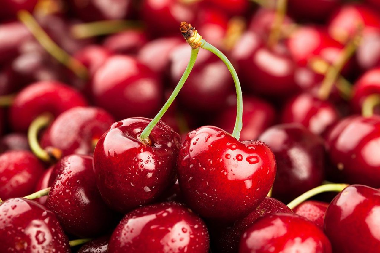 Moldovan cherry exports to the EU increased 12.5 times in 2023