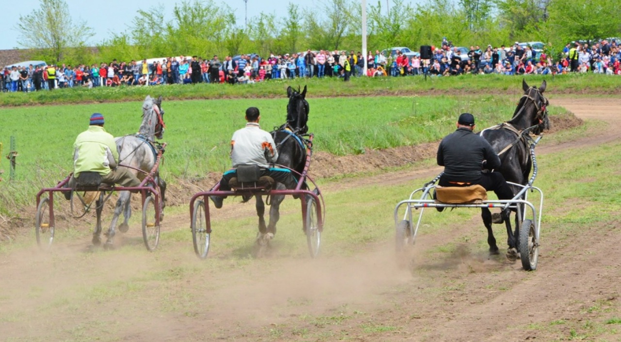 Sărbătoarea „Hederlez”: La Ceadîr-Lunga a fost organizat un festival cu întreceri de cai