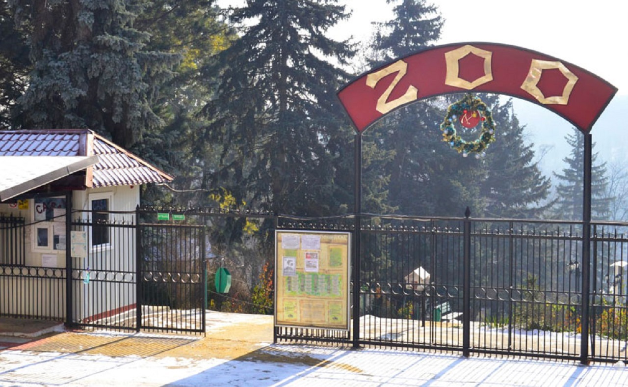 Chișinău Zoo: Free Entry for Kids on Children's Day