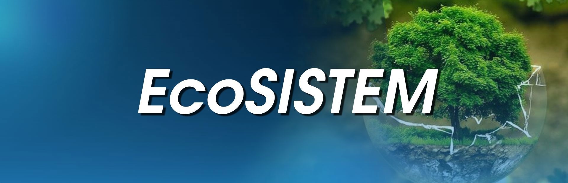 EcoSISTEM