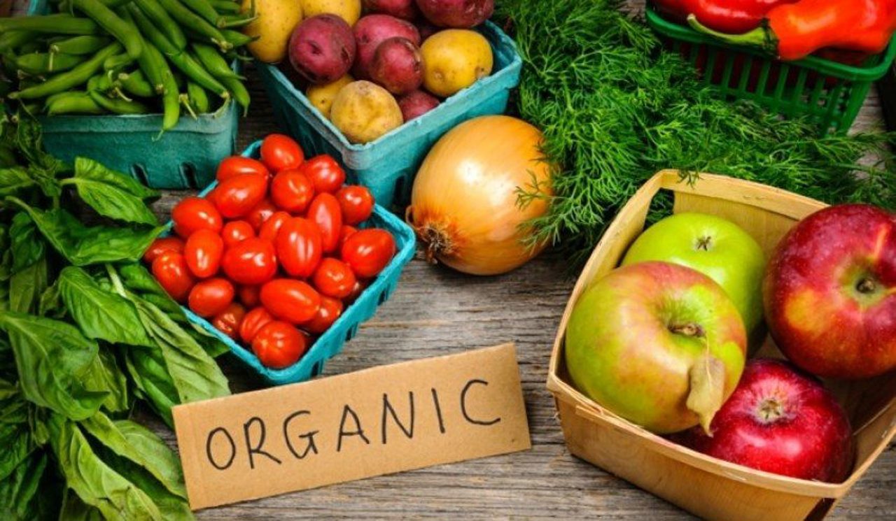 Export of Moldovan organic products to the European Union market will be facilitated