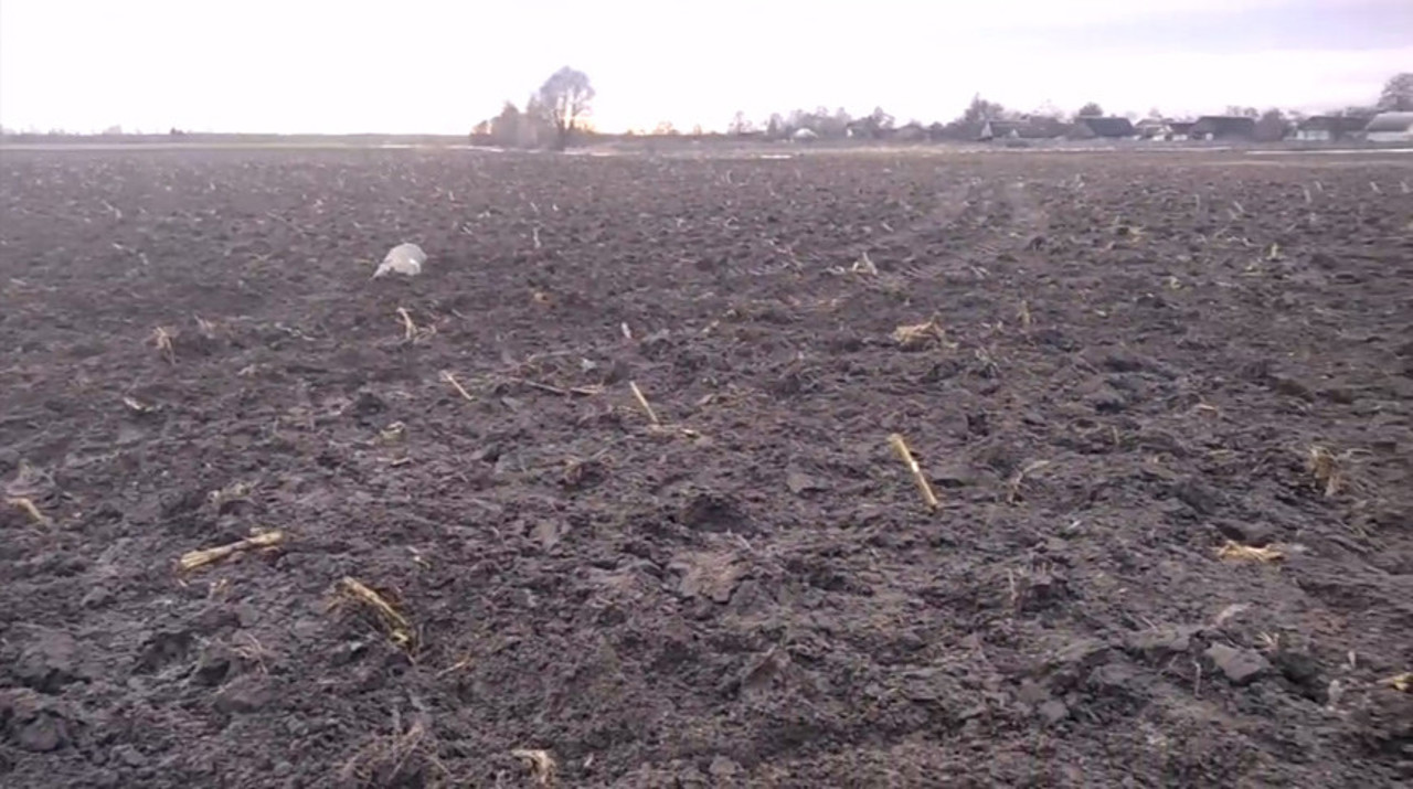 A missile fell on the territory of Belarus