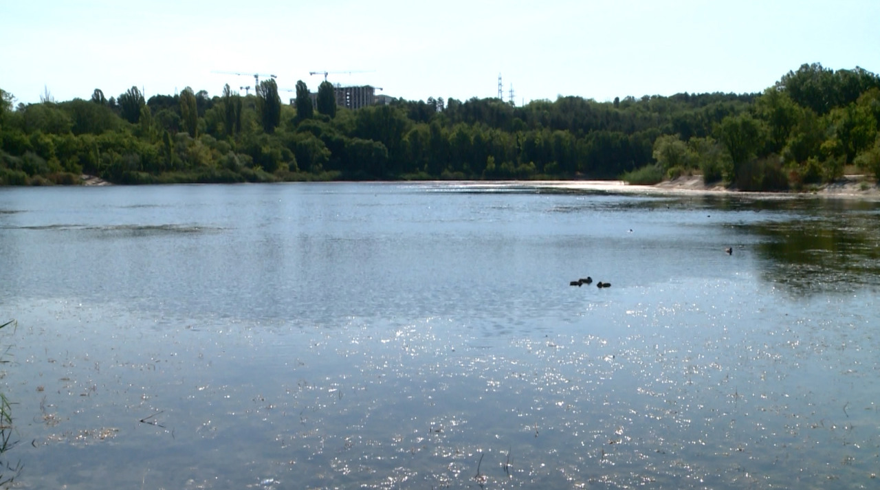 Seceta a afectat grav lacul de la Porțile Orașului. Sunt pregătite lucrări de curățare și reabilitare
