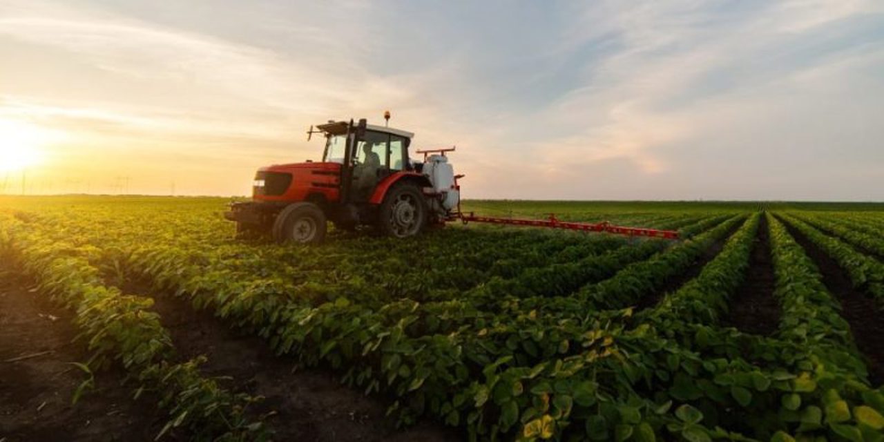 Statul ar putea investi 3 miliarde de lei în sectorul agricol, până în 2030. Strategia Națională de Dezvoltare Agricolă și Rurală pentru anii 2023-2030, aprobată